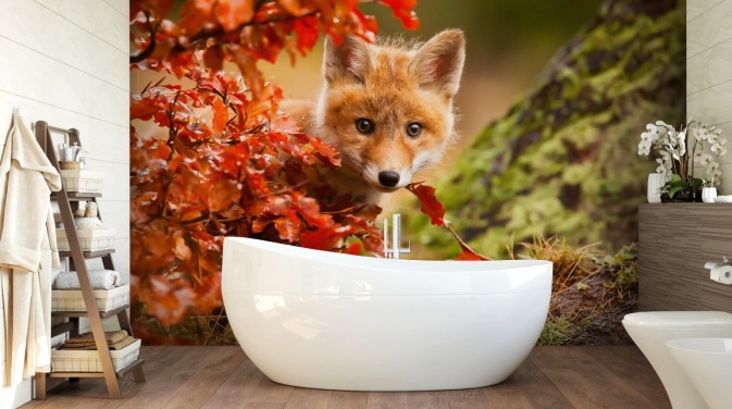 Fox Cub in Autumn Leaves Wallpaper