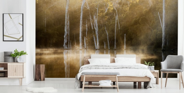 Misty Lake and Trees Wallpaper