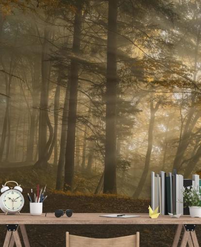 Forest Light Wall Mural Wallpaper Forest Light Wall Mural Wallpaper
