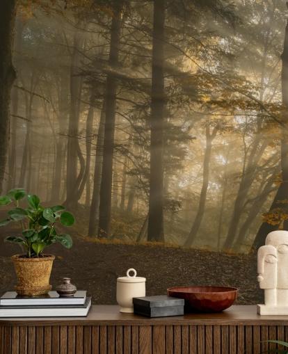 Forest Light Wall Mural Wallpaper Forest Light Wall Mural Wallpaper