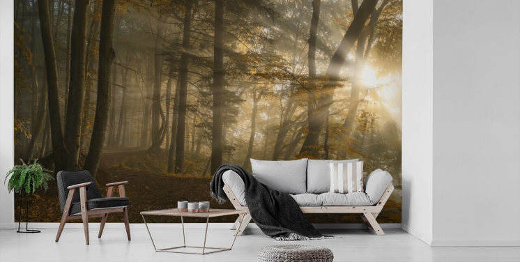 Forest Light Wall Mural Wallpaper