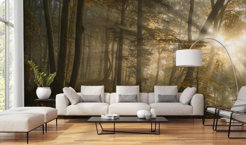 1x Photography Wallpaper Murals | Wallsauce AU