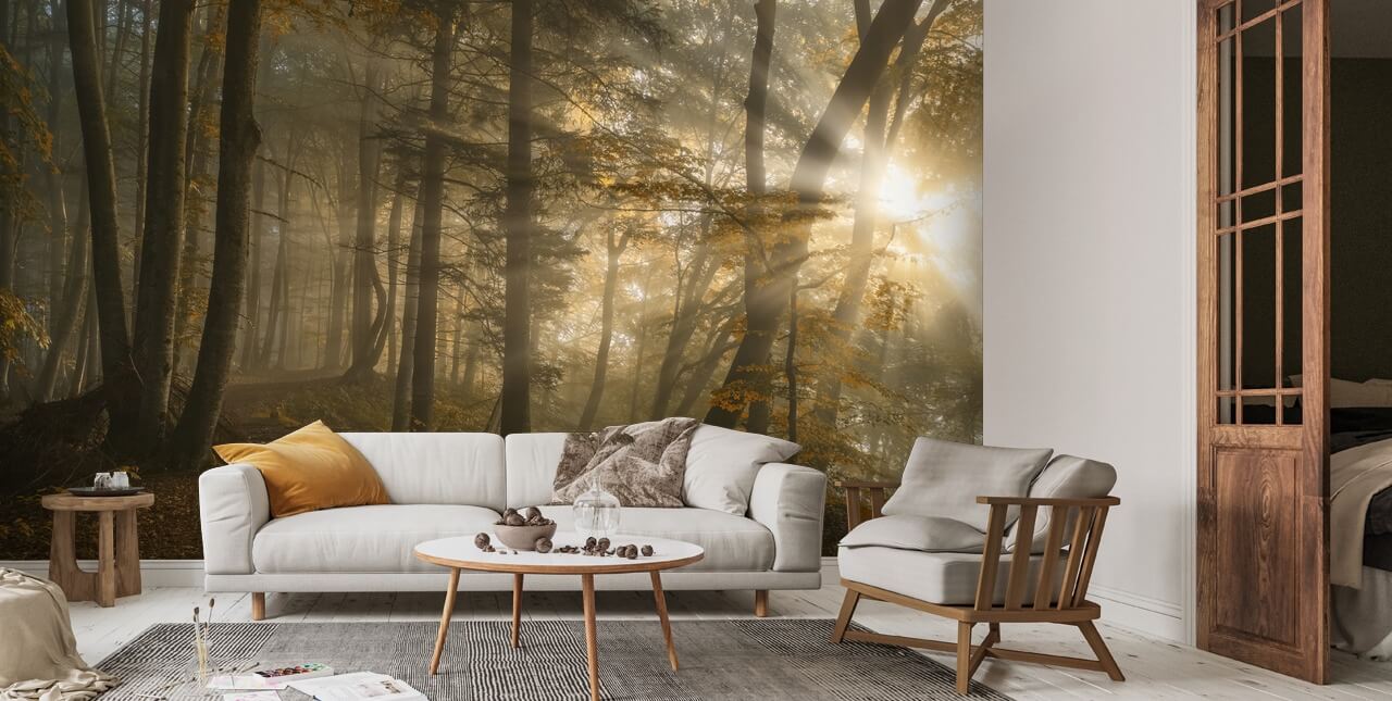 Wald Licht Tapete   Wallsauce DE