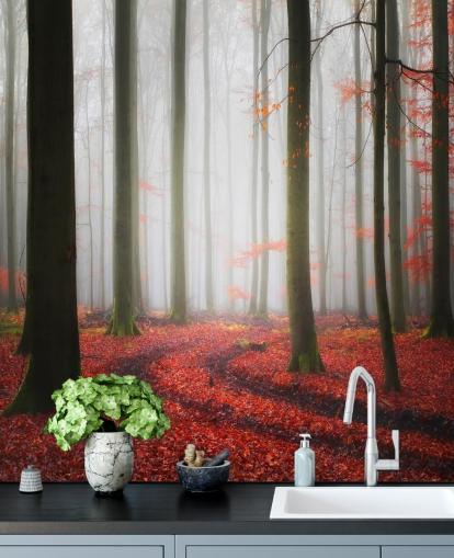 höst skog tapet höst skog tapet