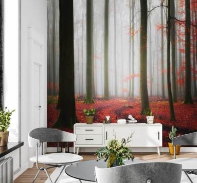 Fondos de autumn forest