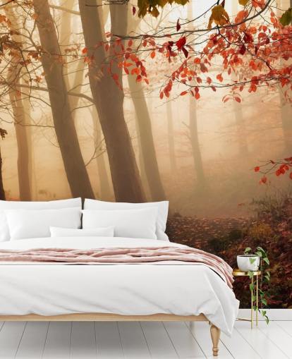 Towards the Light Wall Mural Wallpaper Towards the Light Wall Mural Wallpaper