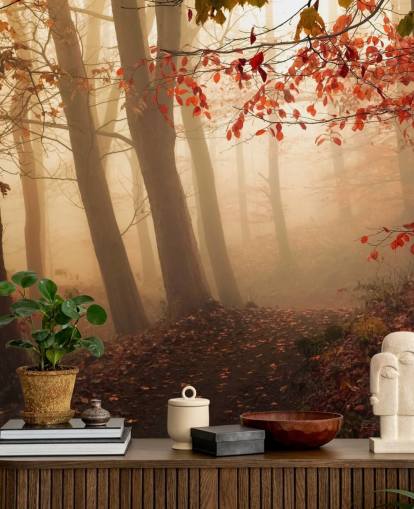 Towards the Light Wall Mural Wallpaper Towards the Light Wall Mural Wallpaper