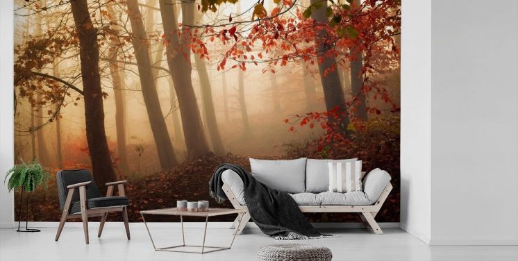 Towards the Light Wall Mural Wallpaper