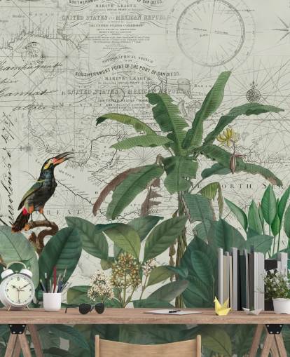exotic birds in jungle and map background wallpaper exotic birds in jungle and map background wallpaper