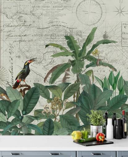 exotic birds in jungle and map background wallpaper exotic birds in jungle and map background wallpaper