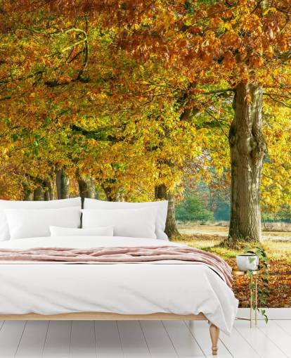 orange and yellow autumn trees wallpaper orange and yellow autumn trees wallpaper