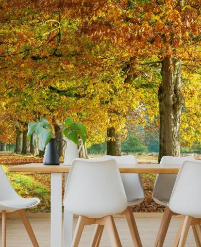 orange and yellow autumn trees wallpaper orange and yellow autumn trees wallpaper