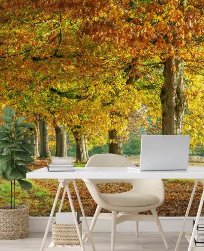 papier peint arbres d'automne orange et jaune papier peint arbres d'automne orange et jaune