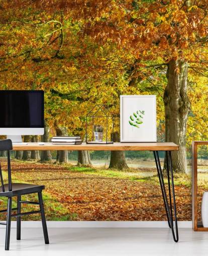 oransje og gul høst trær tapet oransje og gul høst trær tapet