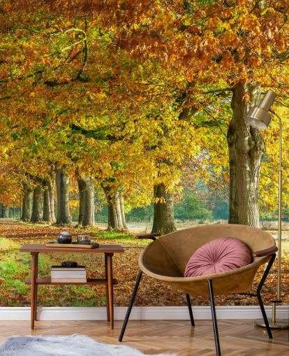 oranje en gele herfstbomen behang oranje en gele herfstbomen behang