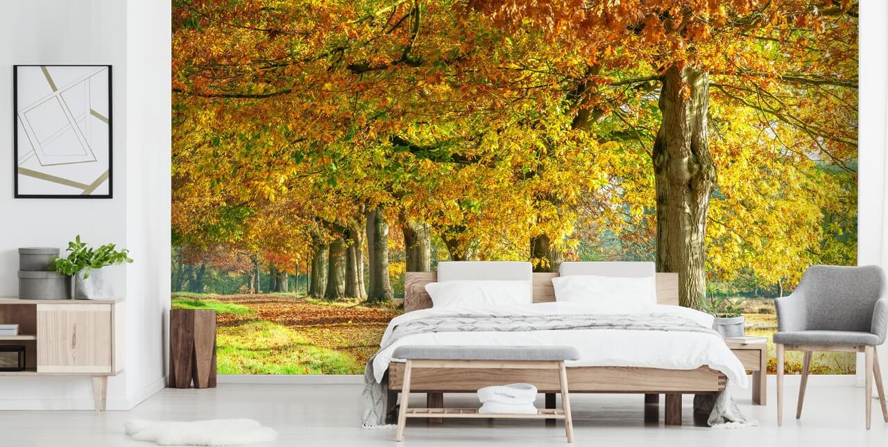 Autumn Trees Nature Wall Mural