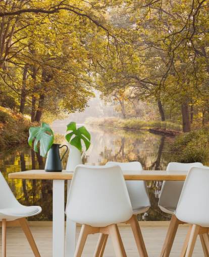 papel de parede de outono floresta e canal papel de parede de outono floresta e canal