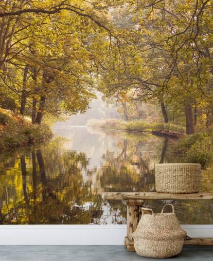 carta da parati caduta foresta e canale carta da parati caduta foresta e canale