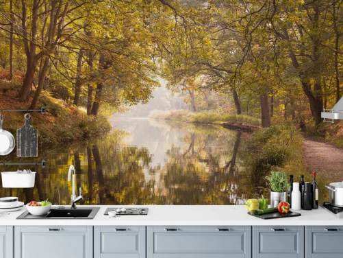 fall forest and canal wallpaper