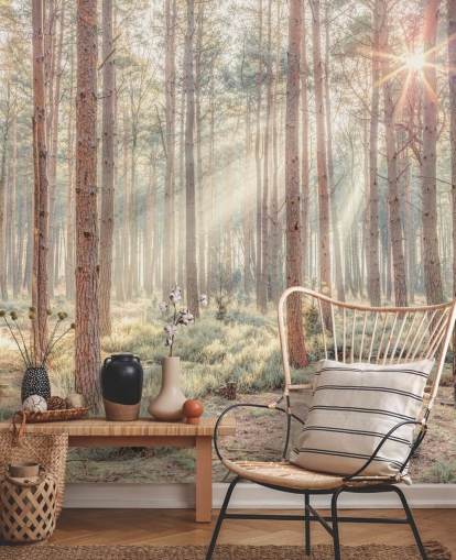 Tåkete skog med solstråler Tåkete skog med solstråler