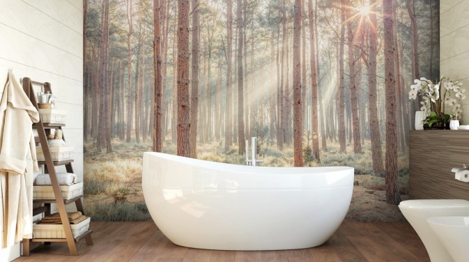 Misty Forest with Sunrays Tree Wallpaper