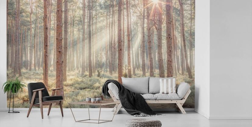 Landscape Wallpaper & Wall Murals | Wallsauce UK