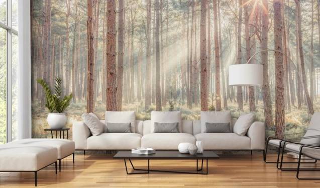 Forest Wallpaper & Tree Wall Murals | Wallsauce US