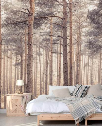 Floresta ao entardecer Floresta ao entardecer