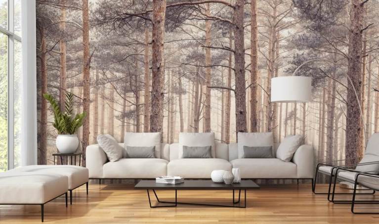 Forest Wallpaper & Tree Wallpaper Murals | Wallsauce US