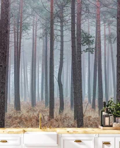 dimmiga skog tapeter dimmiga skog tapeter