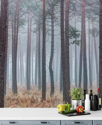 papel de parede floresta nublada papel de parede floresta nublada