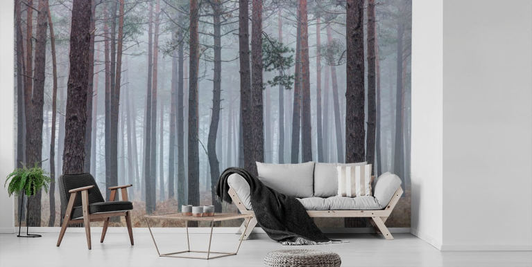 Forest Wallpaper & Tree Wallpaper Murals | Wallsauce US