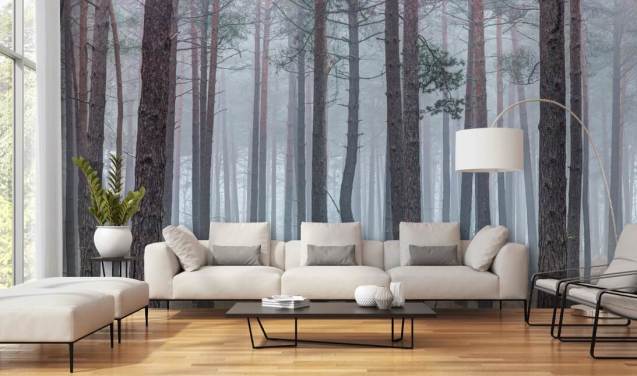 misty forest wallpaper