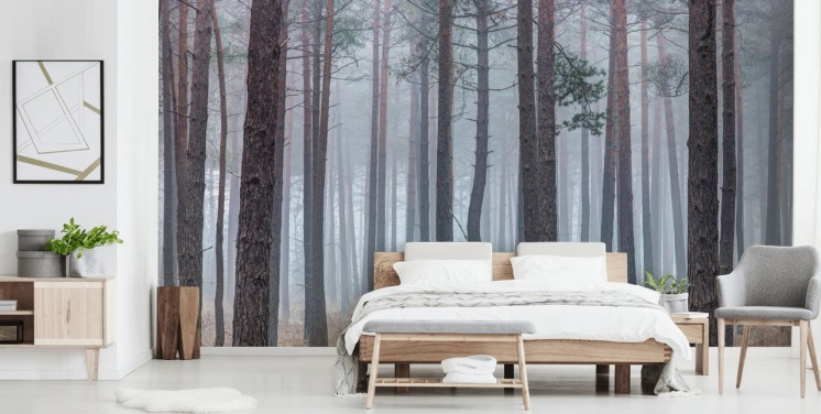 nebliger Wald Tapete