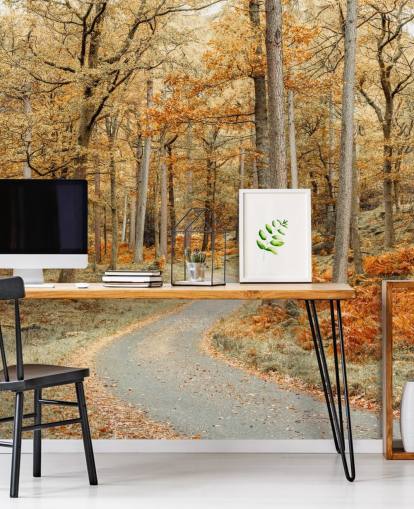 carta da parati autunnale con foresta e sentiero carta da parati autunnale con foresta e sentiero