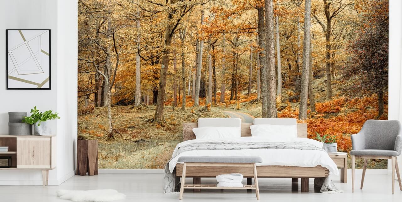 autumnal forest and path wallpaper mural autumnal forest and path wallpaper mural
