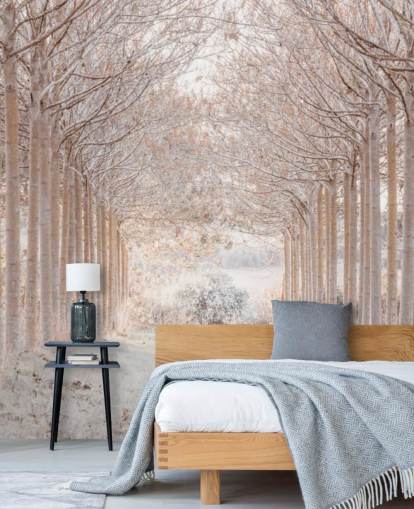 Snedækkede træer i et eventyrland Snedækkede træer i et eventyrland