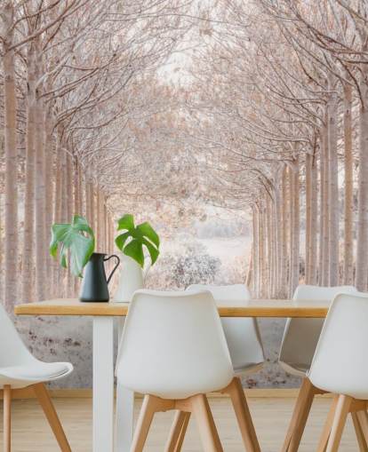 Alberi innevati in un paese delle meraviglie Alberi innevati in un paese delle meraviglie