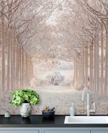 Alberi innevati in un paese delle meraviglie Alberi innevati in un paese delle meraviglie