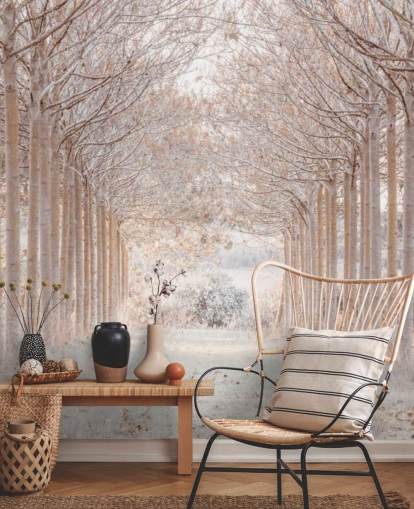 Snowy Trees in a Wonderland Snowy Trees in a Wonderland