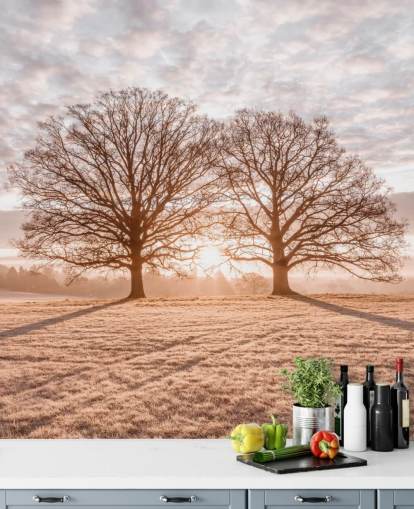Bomen in een weide Bomen in een weide