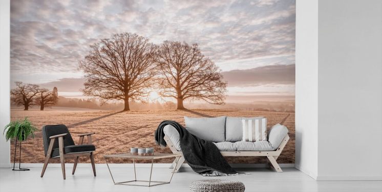 Trees in a Meadow Landscape Wallpaper