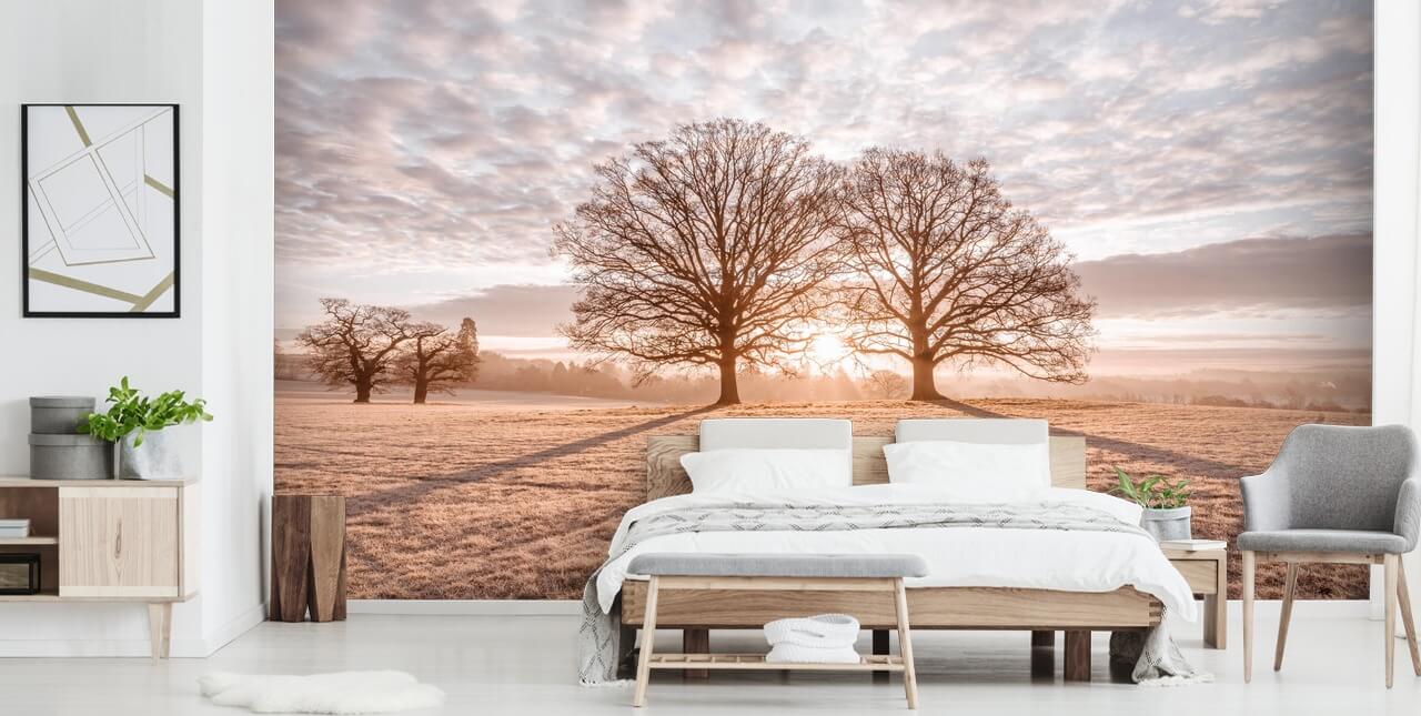 Trees in a Meadow Landscape Wallpaper
