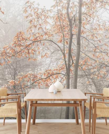 tåkete trær ved kanalen tåkete trær ved kanalen