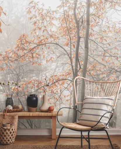 misty trees by canal misty trees by canal