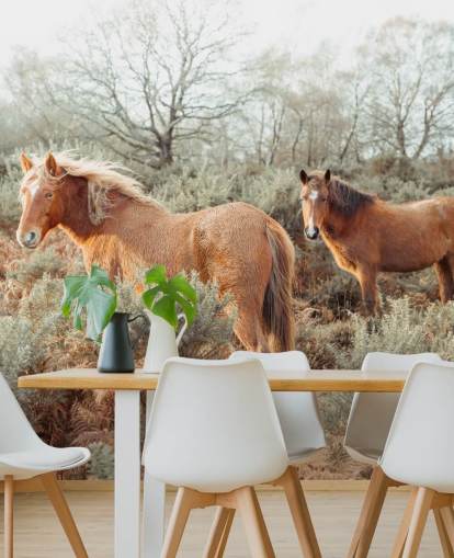 ingefær hester i vill habitat tapet ingefær hester i vill habitat tapet