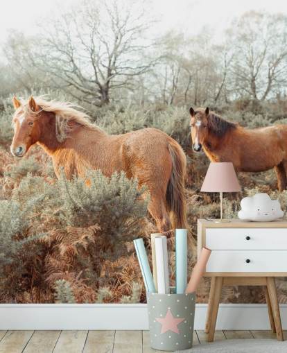ginger horses in wild habitat wallpaper ginger horses in wild habitat wallpaper