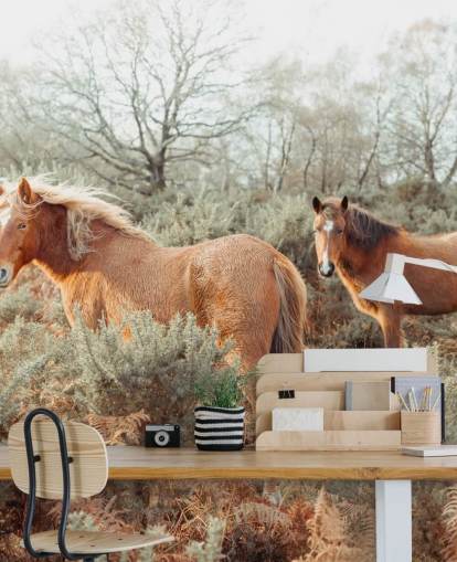 inkivääri hevoset villi elinympäristö tapetti inkivääri hevoset villi elinympäristö tapetti