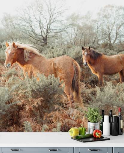 ginger horses in wild habitat wallpaper ginger horses in wild habitat wallpaper