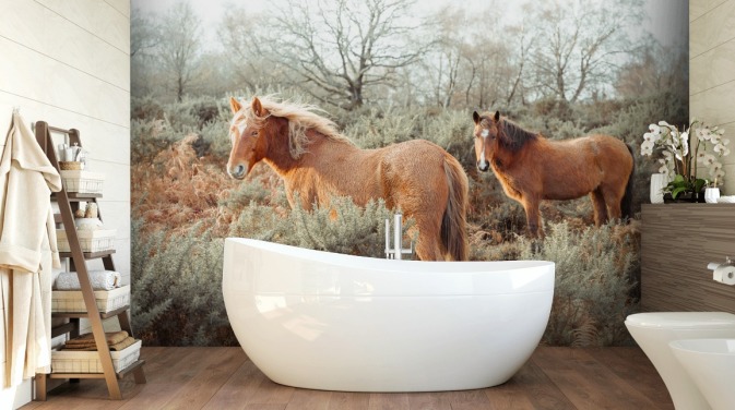 ginger horses in wild habitat wallpaper